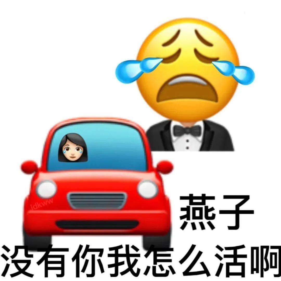 燕子特殊emoji表情图片