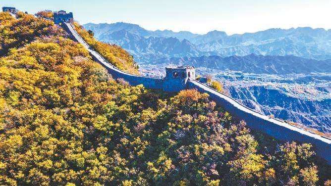 米乐m6官网登录入口京城秋韵_摄影_北京_银杏(图7)