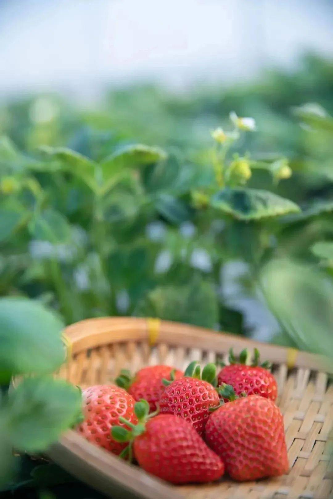 温泉_郑州_休闲