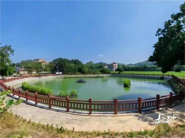 曹江镇林村村也通过资源化利用模式实现生活污水有效治理.