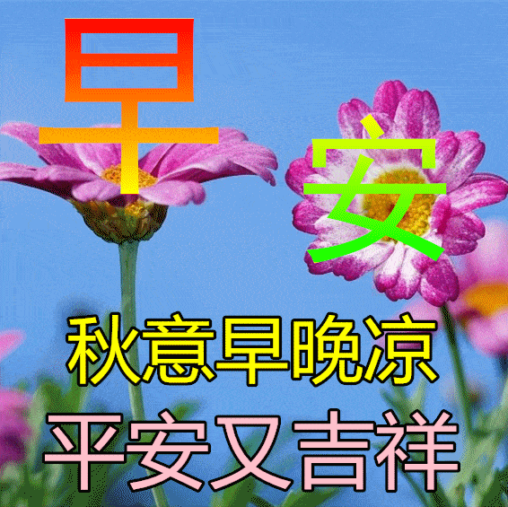 11月5日早上好动态表情图片及早晨好动图美图大全 活着,别比钱多钱少