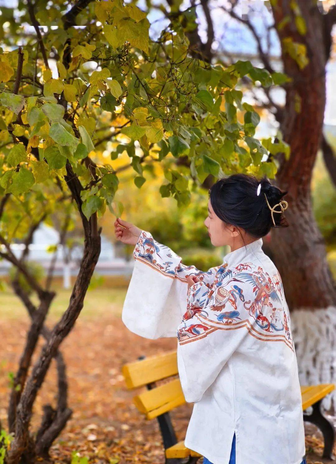 锐恒第二十四组模特:肖添予摄影师:王炜楠第二十五组模特:于佳摄影师