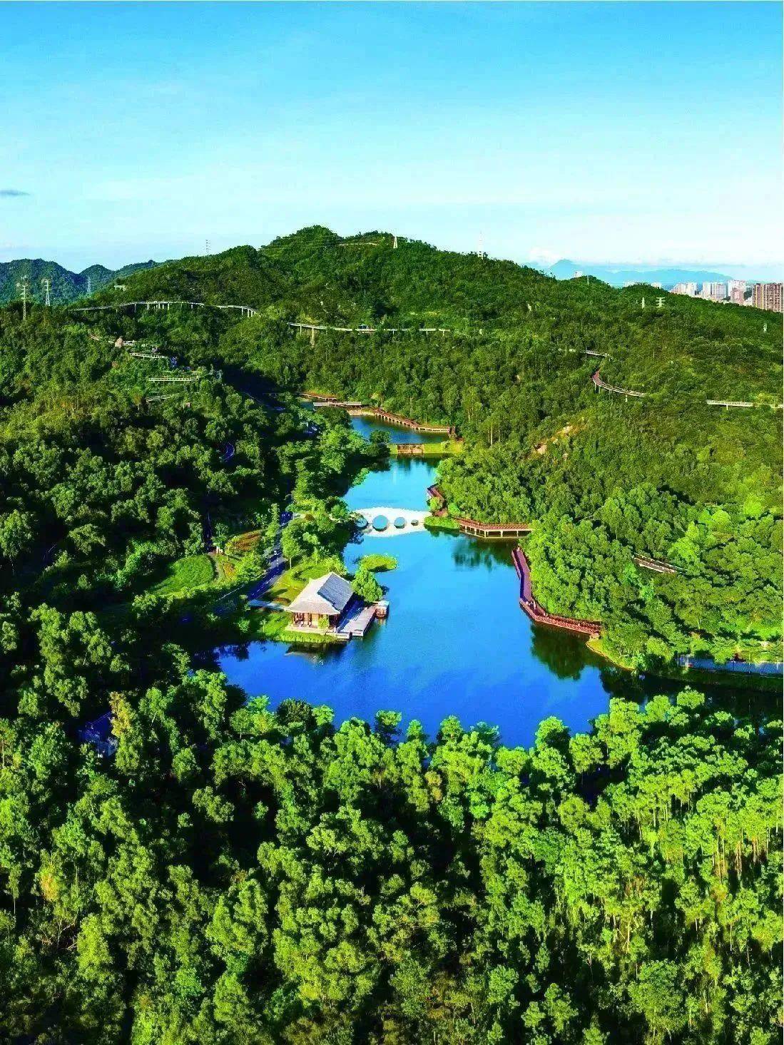 候选美景就位,"香洲十景"等你投票出道_珠海市_香洲区_公园