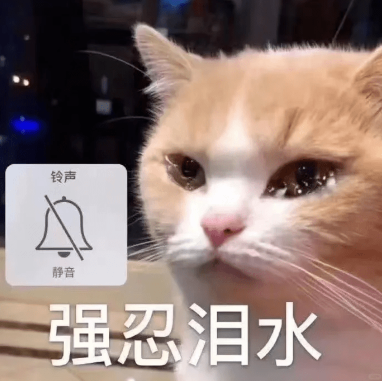 你小心点!今晚将被我暗杀!丨第838期喵表情包_网络_侵权_图片