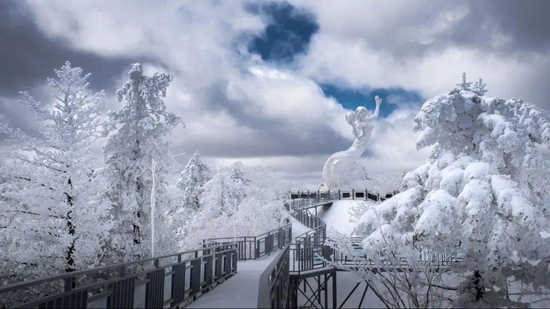 蜂蜜山▲珍宝岛湿地皑皑白雪把鸡西大地装扮得素裹银装不一样冰雪江