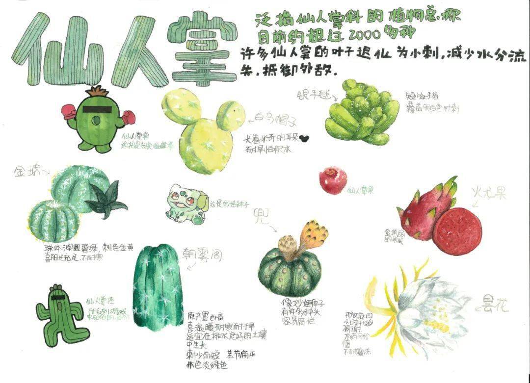 仙人掌的植物记录卡图片