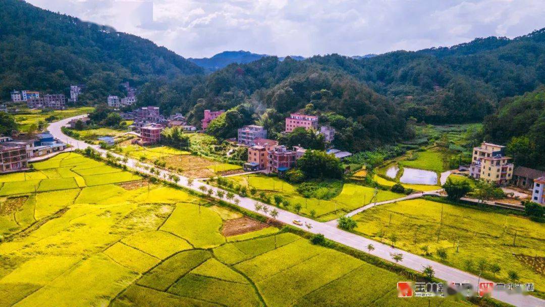 出发吧!兴业的绝美秋色在这→_玉林_me_to