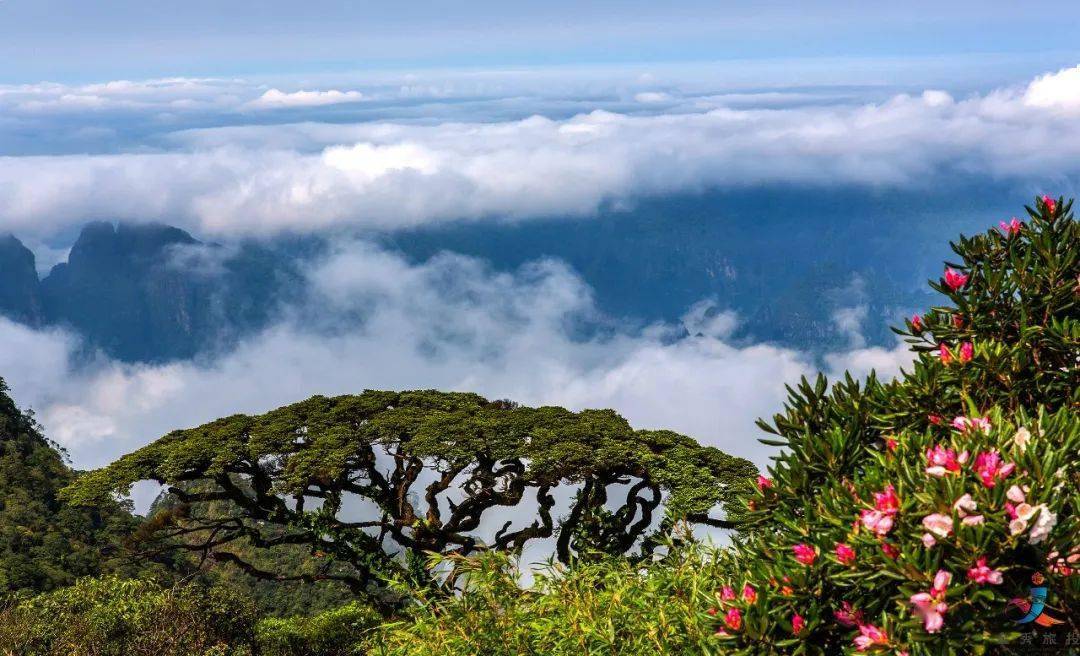 探索华夏大地：从东部沿海的绿色宝库到中部的矿产王国