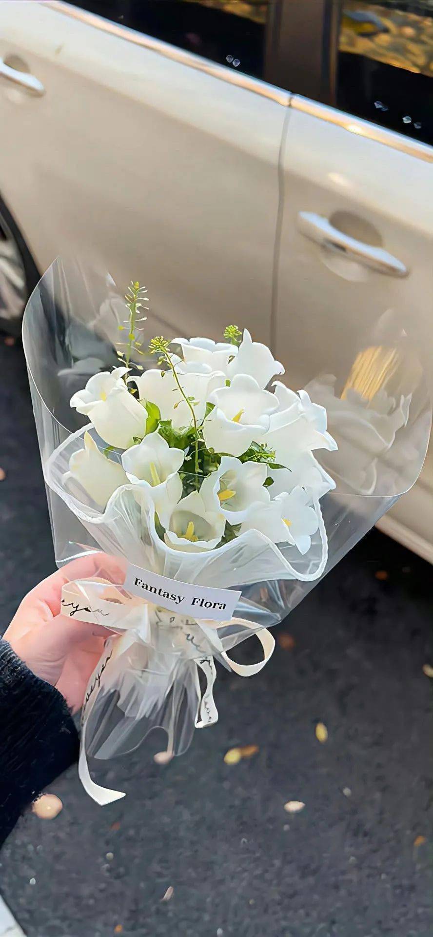 壁纸 | ins风壁纸,高级感满满! 676767