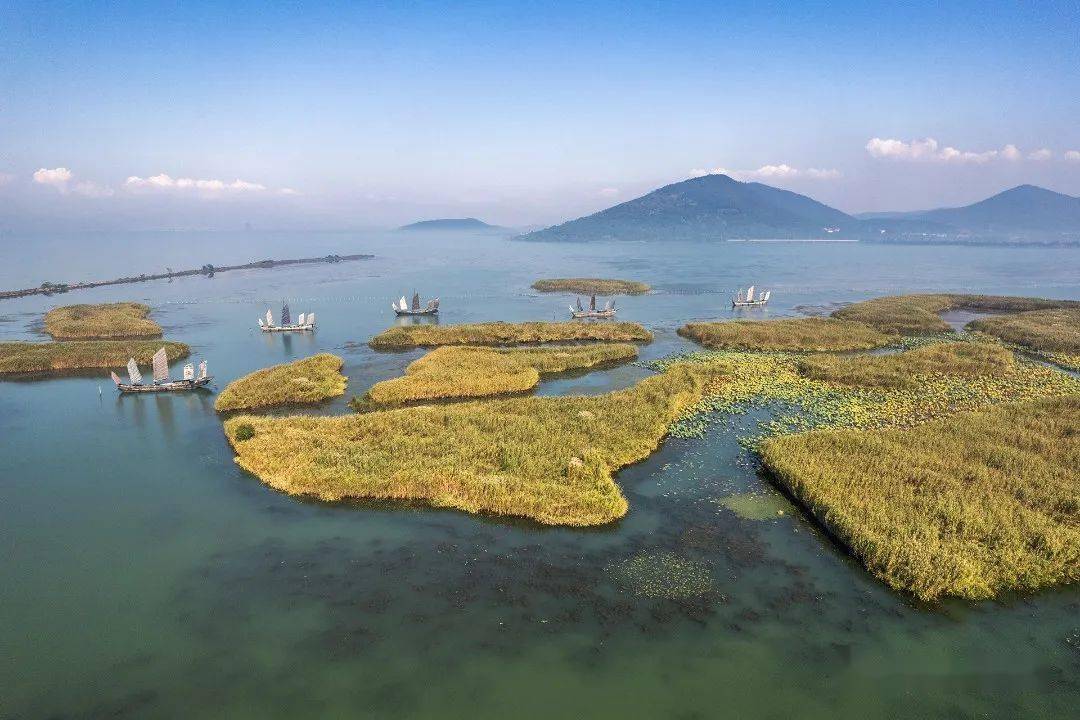 冲山村地处光福镇西南,东与太湖渔港村相连,南,西,北临太湖,为太湖