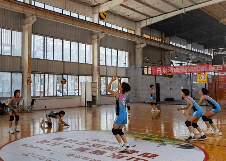 项目,多年来,为国家,省及各专业队输送了大批像崔咏梅,安家杰,李春