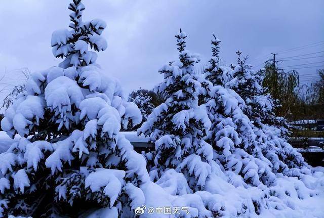 直击东北三省强雨雪天气,我国最深积雪能有多深?_深度_黑龙江_暴雪