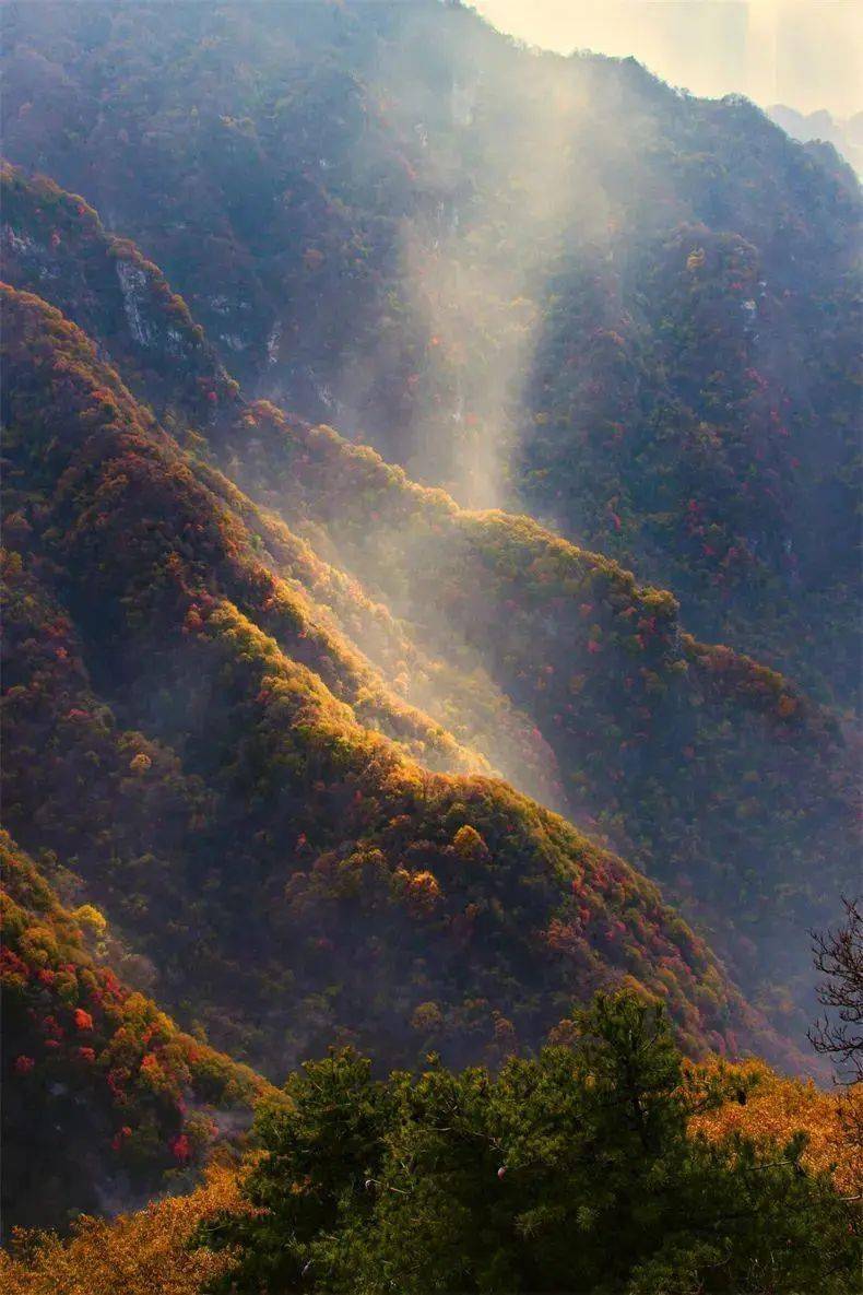 秦岭_国道_黄花岭