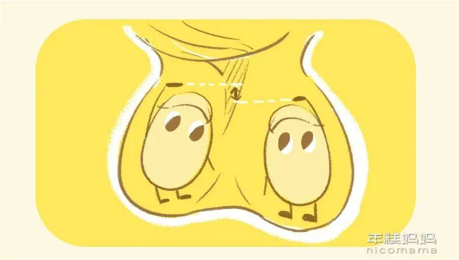 宝宝私处的这几件事,家长越早知道越好!_蛋蛋_睾丸_孩子