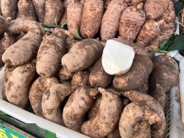 "最近天麻价格降得多了,最好的羊角天麻刚上市卖260元~270元/公斤