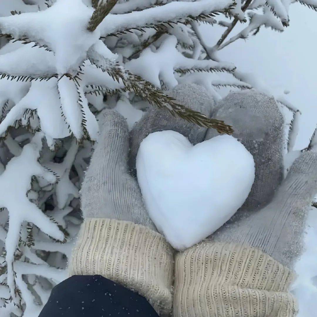 下雪情侣头像高清图片图片