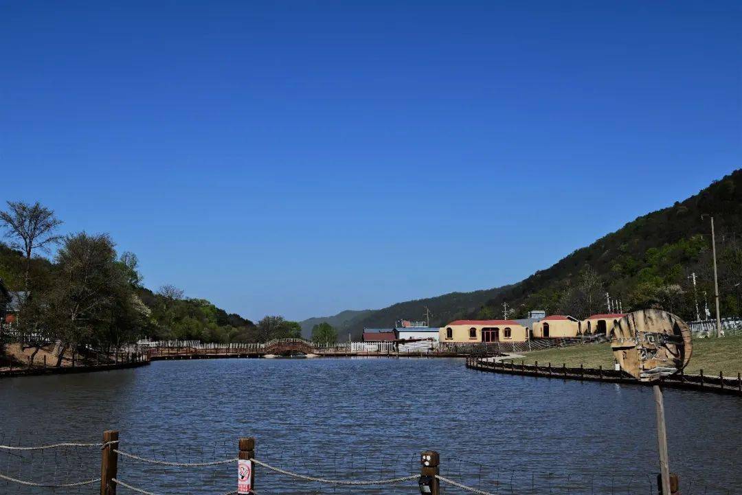 来旬邑,体验不一样的大唐鹿野苑旅游度假区~~~_森林_客房_活动