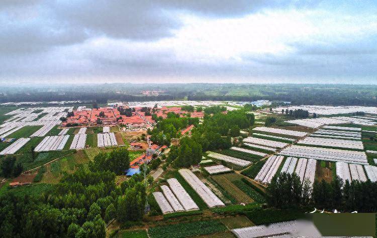 临朐县蒋峪镇"三个力"打出秸秆回收利用"组合拳"_宣传_农户_处理