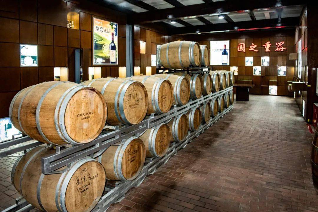 昌黎特色酒庄推介(四)——长城华夏酒庄_摄影_活动_费明健