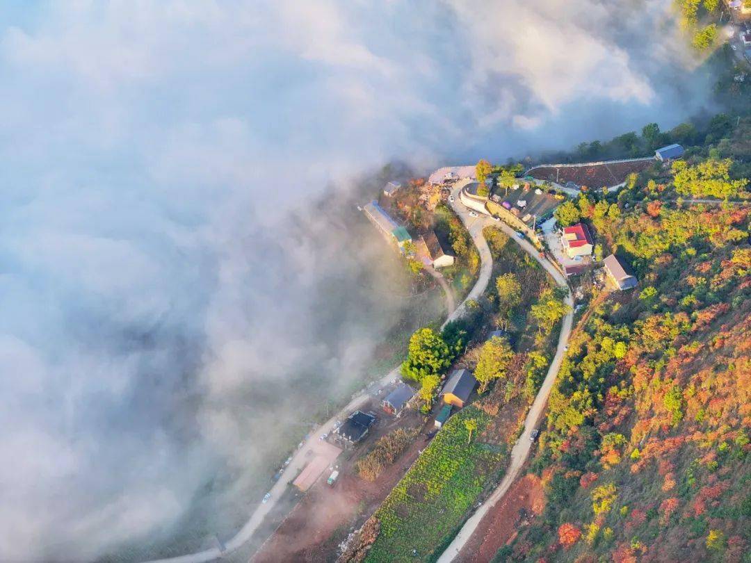 镇安海棠山,这里云海频现,景色如画.