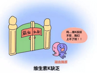 缺乏维生素k有什么危害凝血因子(ii,vii,ix,x)和对血液凝固起重要调节