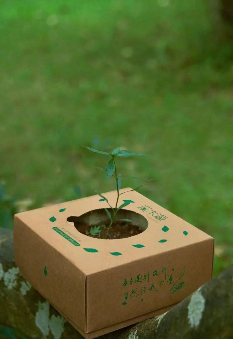 蜡笔小新,溪木源双十一开启自然共生派对,蕉内携手王一博探寻过冬保暖