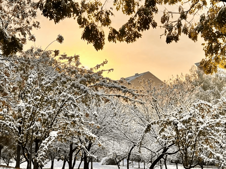 烟台大学雪景图片