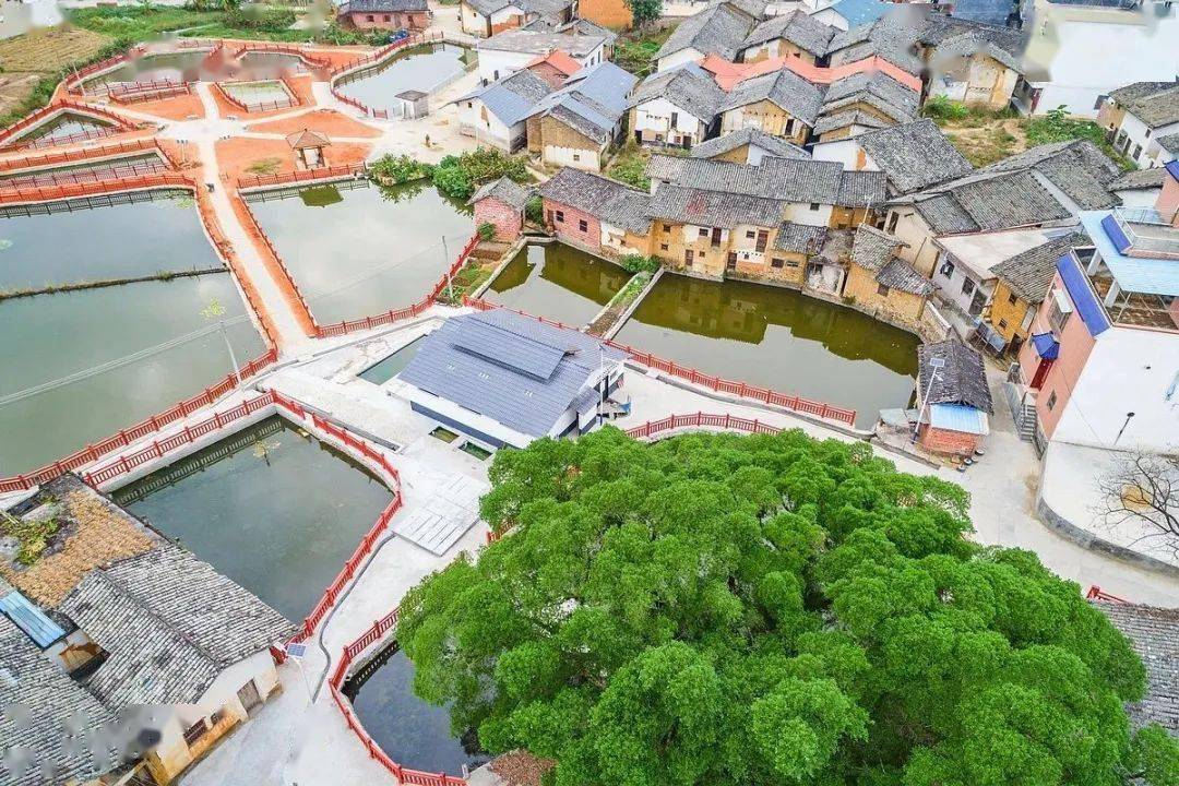 除了上面成规模的温泉始兴还有很多天然温泉一起来看看01隘子镇向华