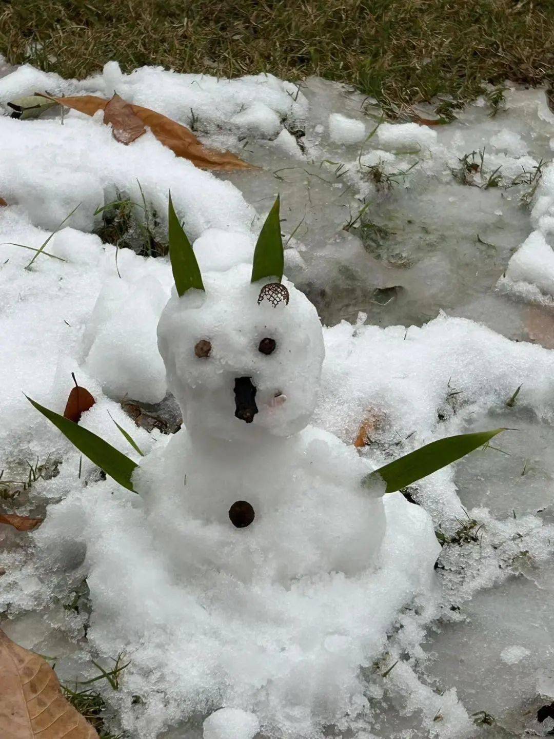 綠葉大俠超級鴨鴨隊雪人家族眼睛瞪得像銅鈴牛的二五八萬貨隨正主一