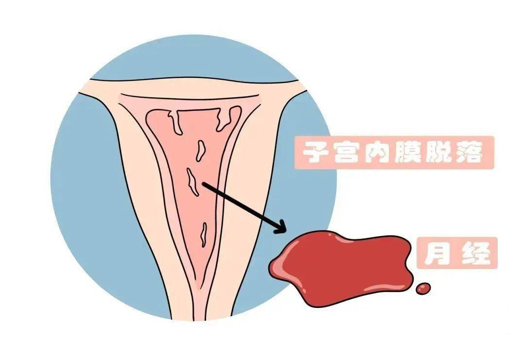 初潮颜色正常图图片