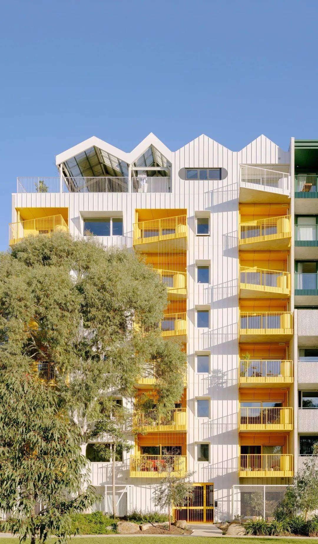 建筑师自己设计,自己开发的住宅楼 | 充满趣味的"城中村"_breathe