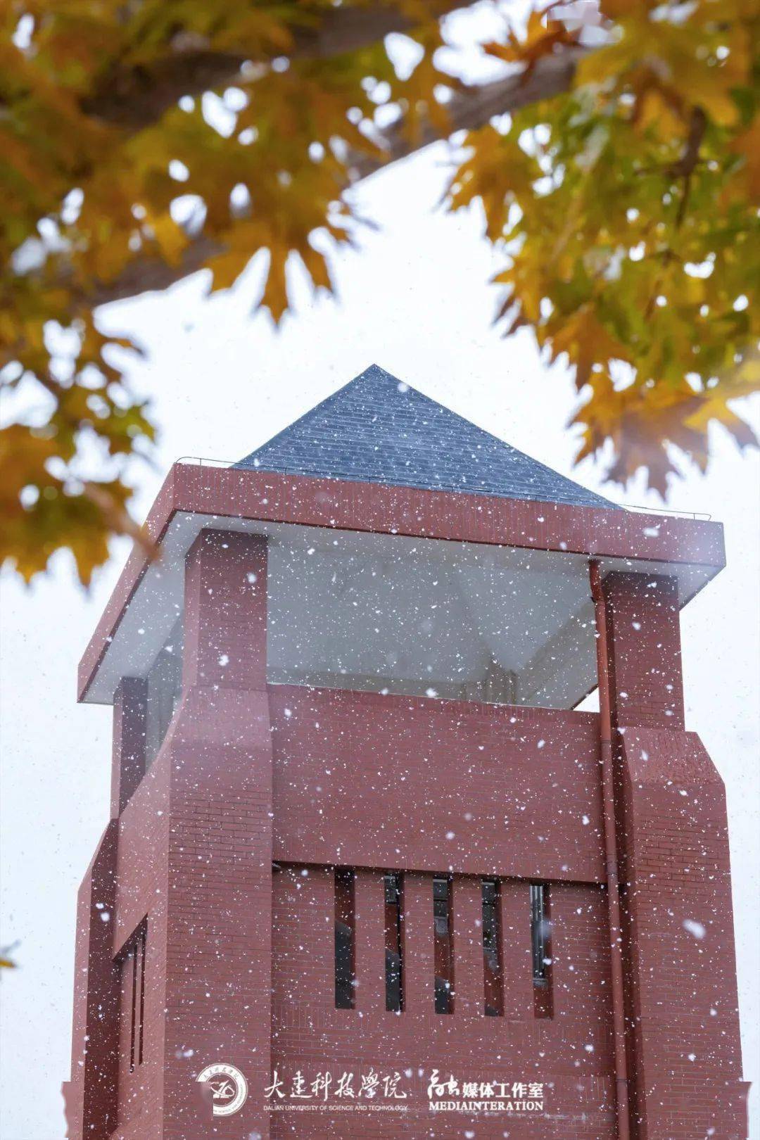 在大科,遇一场初雪_银装素裹_媒体_葛欣桐