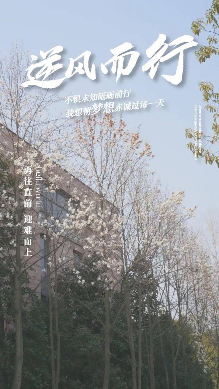 快来领取丽院专属考研壁纸照亮前方的路你们在追寻着自己的光博观约取