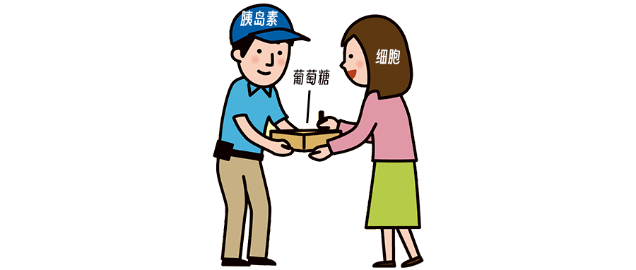 葡萄糖_组织细胞_胰岛素