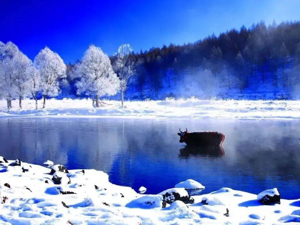 内蒙古"十二冬色"——兴安盟_阿尔山_冰雪节_旅游