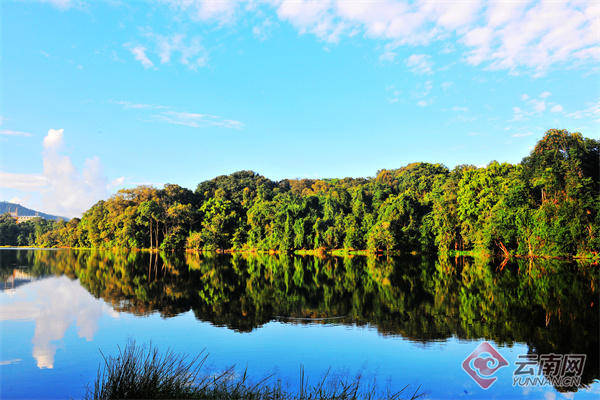 普洱西盟:深耕康养福地 绘就诗与远方_文化_织锦_旅游