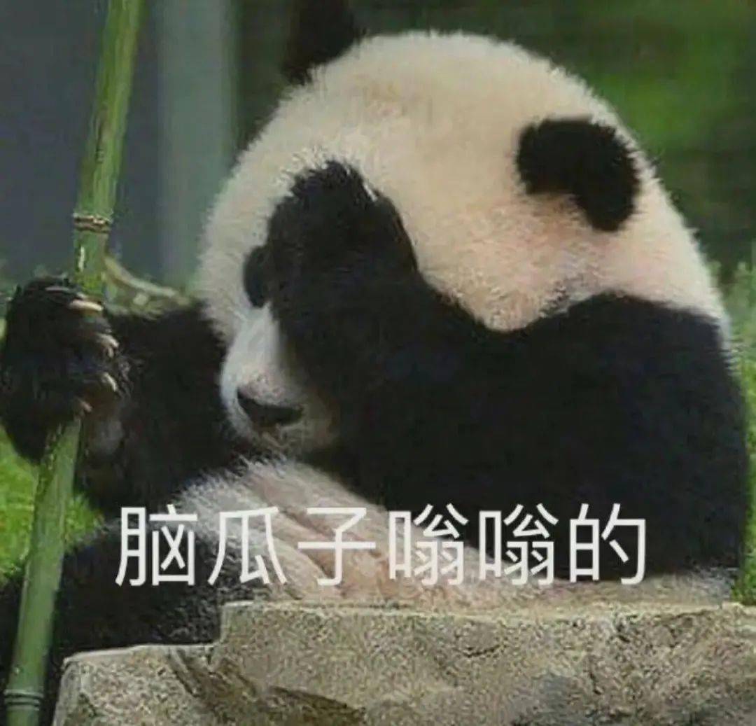 "被确诊为衣领综合征"!网友:多年的病因找到了._高领_毛衣_时报