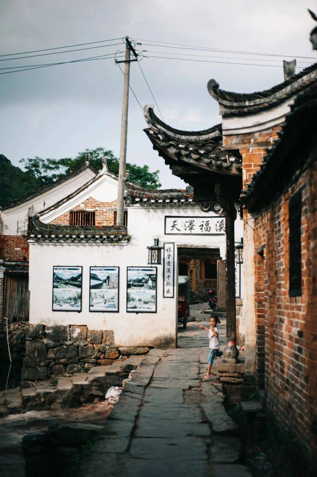 维c含量远高于梨和苹果!水果自由的广西,"橙"熟了_富川_脐橙_福溪村