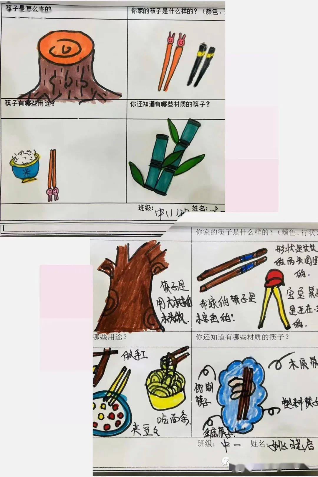 幼儿园作业筷子大调查图片