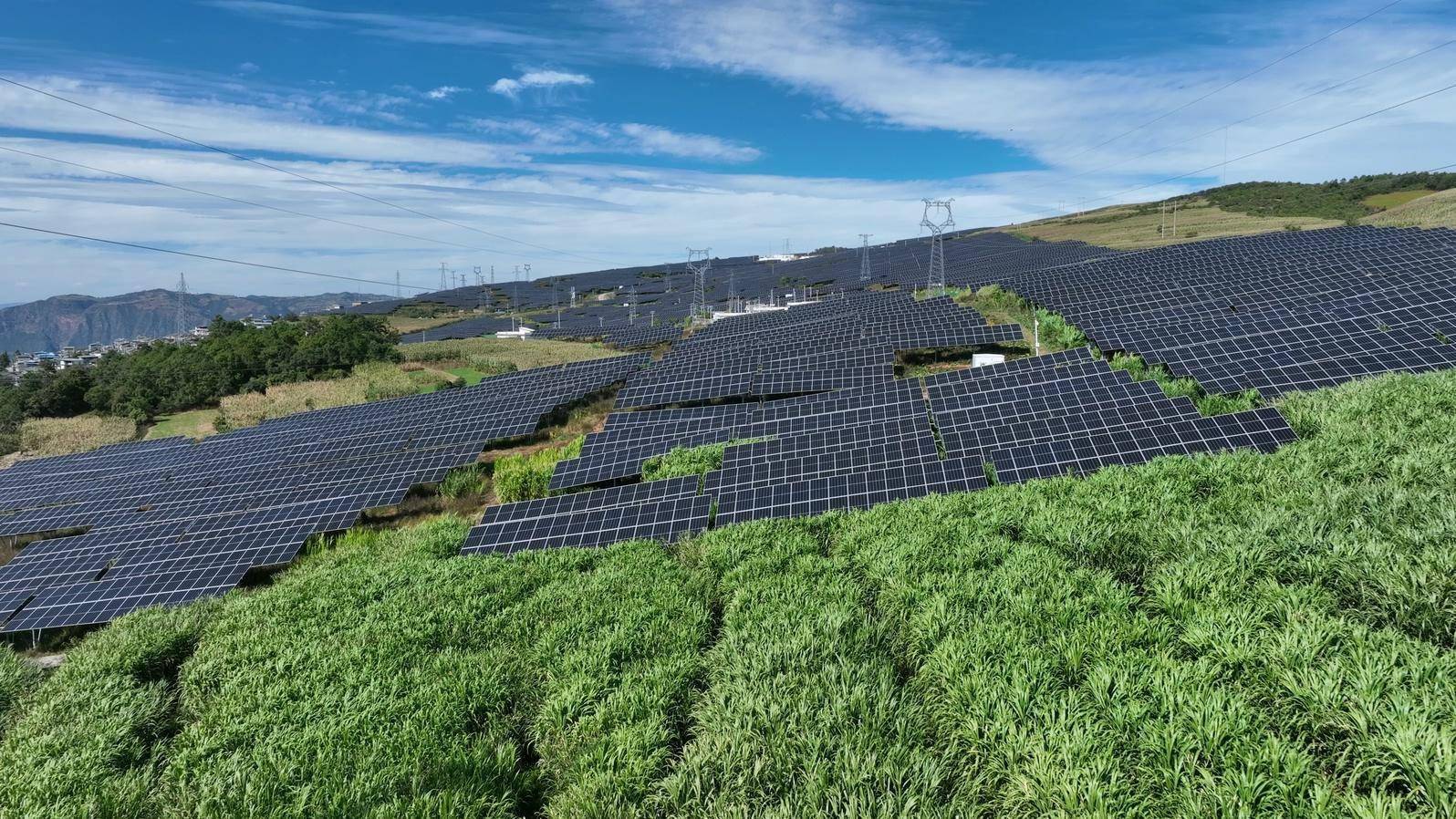 新能源带动"新"发展 农光互补绿富同兴_种植_光伏电站_农业