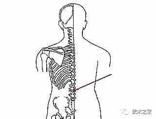 腰脊的秘密_脊椎_肌肉_髖關節