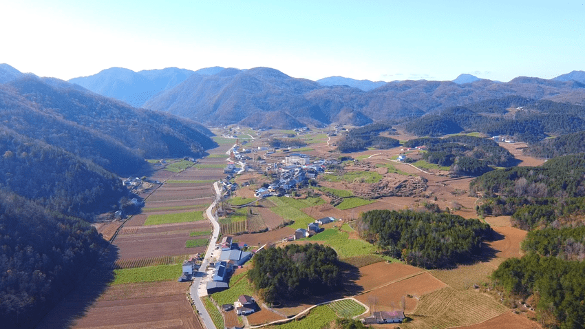 兴山:"冬闲田"变"致富田" 亩均综合产值7000元_榛子乡_种植业_菜薹