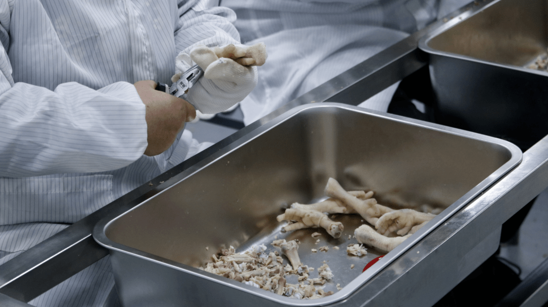 沙湾这家企业正式投产→_鸡爪_沙湾区_加工