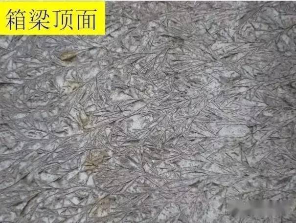了如指掌混凝土,工程行业文能武!_施工_裂缝_表面