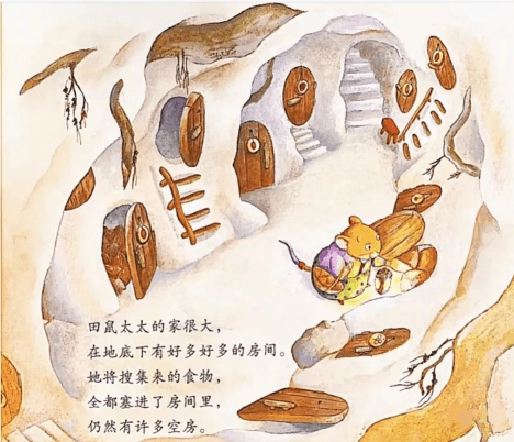 不需要冬眠的田鼠