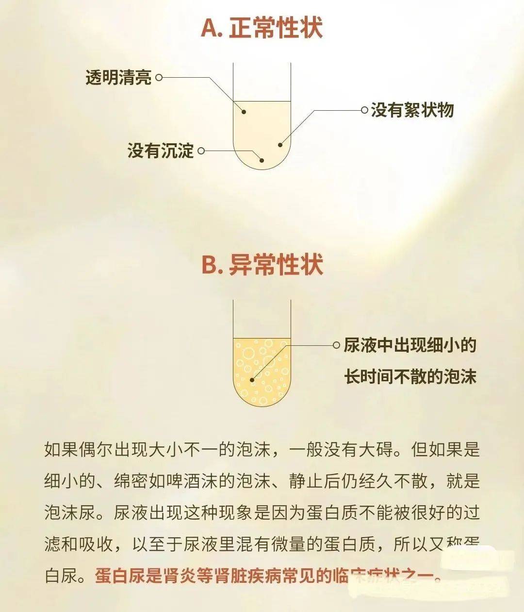 尿液有泡泡是什么原因图片