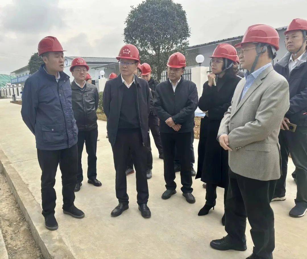 成都市交通运输局局长王翼刚到洪安镇开展成渝中线铁路现场调研工作