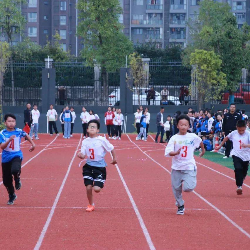 秀山鹭秀小学运动会 | 鹭秀少年正当"燃"_田径_sdfd_赛场