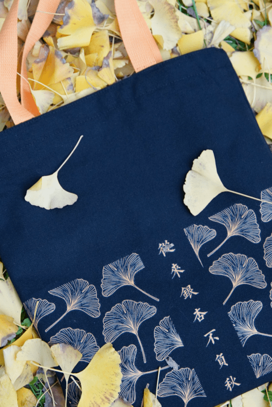 美物文创|当一个浪漫收藏家,用银杏留住季节之美!_秋意和_礼物_叶子