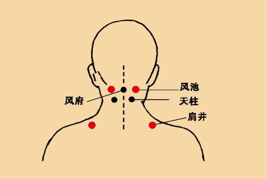 常灸风池穴具有抵挡风邪入侵